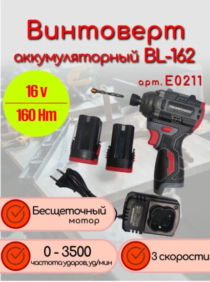 Аккумуляторный бесщеточный винтоверт PROFIPOWER BL-162